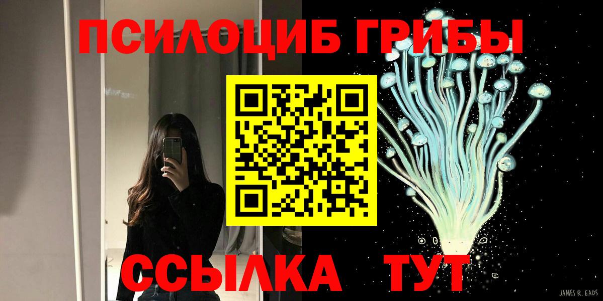 Черногорск  Галлюциногенные грибы Magic Shrooms  Вход с VPN  Псилоцибиновые грибы Psilocybe 